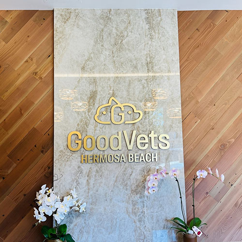 Interior branding for Good Vets by Identiti.
